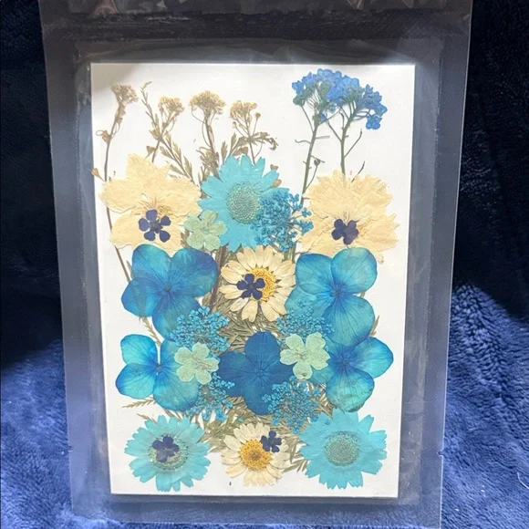 Pressed Blue & Cream Floral Art - Dried Flower Card - Picture 1 of 2